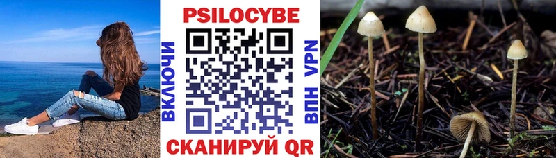 Купить  Берёзовский  Галлюциногенные грибы прущие грибы 
