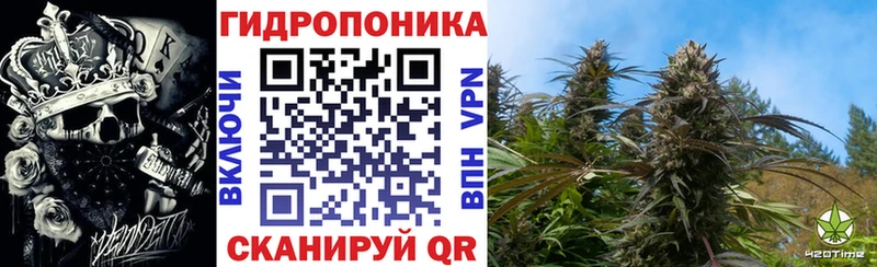 Купить где  Берёзовский  Канабис VHQ 